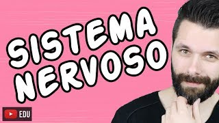 SISTEMA NERVOSO  FISIOLOGIA  Aula  Biologia com Samuel Cunha [upl. by Ferrel]