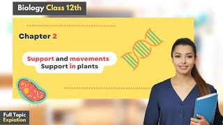 Class 12th Biology  Chapter 2nd Support and movements Support in plants  biological instruction [upl. by Armmat]