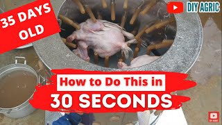 Chicken Feather Plucking 30 Seconds  How Hot Should Scalding Water Be  Chicken Processing Machine [upl. by Otreblaug]