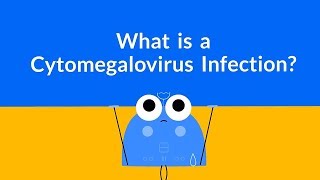 What is a Cytomegalovirus Infection Herpesvirus [upl. by Atinoj]