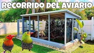 Aviario de Pajaros  Aves Exoticas   Voladero Natural [upl. by Anileme458]