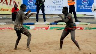 La Lutte  Senegalese Wrestling in Dakar  Championship [upl. by Leirbaj]