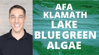 Benefits of AFA Blue Green Algae from Klamath Lake [upl. by Ylerebmik]