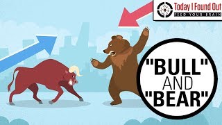 Why are Bull and Bear Markets Called That [upl. by Eelahs]