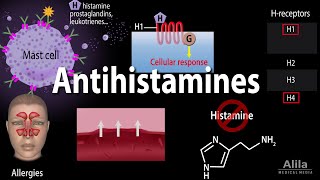 Histamine and Antihistamines Pharmacology Animation [upl. by Martyn175]