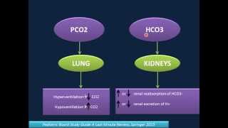 Arterial Blood Gas Analysis ABG [upl. by Luo]