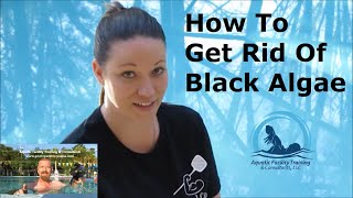 How to Get Rid of Swimming Pool Algae [upl. by Evonne945]