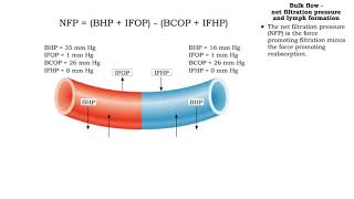 Bulk flow  Factors that influence bulk flow [upl. by Orman452]