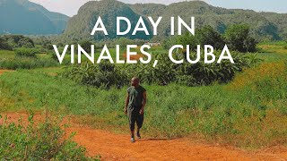 A Day In Vinales Cuba [upl. by Josepha]