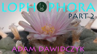 Lophophora Part 2  Adam Dawidczyk【TCSC Monthly Meeting】20210615 [upl. by Guidotti]