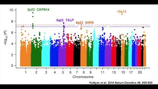 Understanding Manhattan Plots and Genomewide Association Studies [upl. by Tyrone]