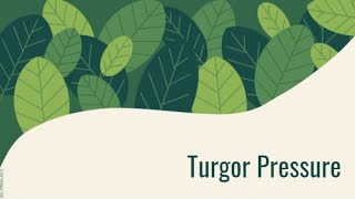 Turgor Pressure [upl. by Radie]