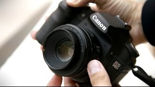 Canon 50mm f18 STM lens review with samples Fullframe and APSC [upl. by Ztnahc166]