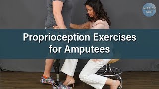 Balance Exercises for Amputees Proprioception [upl. by Tryck]