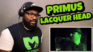 PRIMUS  LACQUER HEAD  REACTION [upl. by Gerard767]