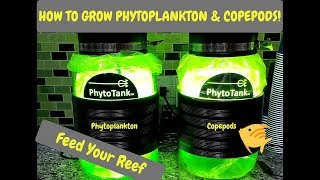 How To Harvest Phytoplankton amp Copepods  Poseidon Reef Systems  Culturing Phyto amp Copepods [upl. by Nahtannoj]