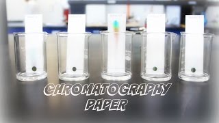 AP Chemistry Investigation 5 Chromatography Paper [upl. by Fen]