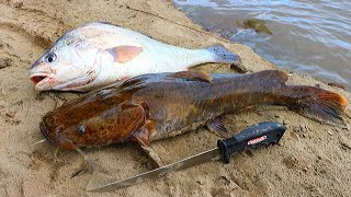 Catch n Cook Flathead Catfish amp Drum  Ace Videos [upl. by Amadeo825]