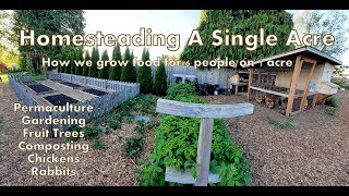 Our 1 Acre Homestead  How We Micro Farm [upl. by Aiouqahs]