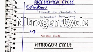 Nitrogen cycle  Nitrogen fixation [upl. by Novick]