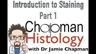 3 Min Histology Intro To Staining 1 [upl. by Dlaniger]