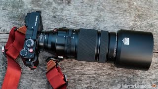 Fujifilm 100400mm review for sports and wildlife photography [upl. by Ellerred]