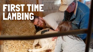 Dorper Sheep Lambing Day 2 Full Birthing  Complicated Labor [upl. by Thrasher7]