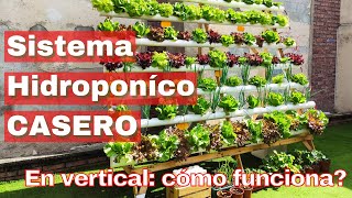 SISTEMA HIDROPONICO CASERO NFT en vertical [upl. by Rhtaeh]