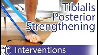 Tibialis Posterior Strengthening  Flat Feet Exercise [upl. by Rednijar703]