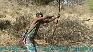 Hadzabe tribe the last hunters and gatherers of Tanzania  Edited by Carmine Salituro [upl. by Durand]