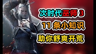 【次时代巫师3】新手上路11条小知识，助你舒爽开荒！ [upl. by Oetam]