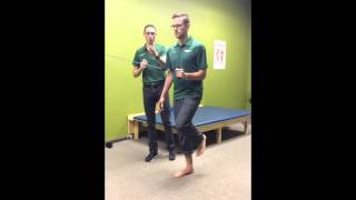 Posterior Tibial Exercises with Dr Leo Kormanik [upl. by Decca]