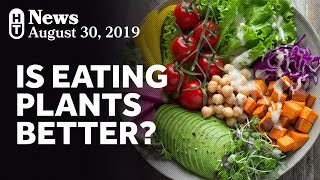 New Research On PlantBased Diets and Mortality [upl. by Anawaj]