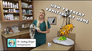 4 Simple Steps to Manage Yeast Infections in Dogs [upl. by Enyaz608]