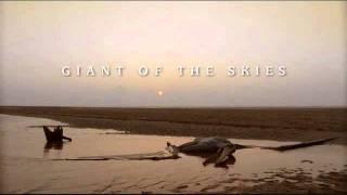 Benjamin Bartlett  Giant of the Skies [upl. by Mayyahk667]