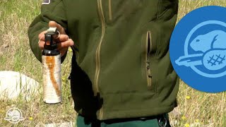 How to Use Bear Spray  Banff National Park [upl. by Rustice]