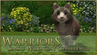 A ForestTouched Wild Cat 🌿 Warrior Cats Sims 3 Legacy  Episode 1 [upl. by Mundy338]