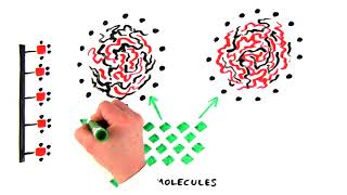 Introduction to Hydrophobic Interaction Chromatography [upl. by Naugan43]