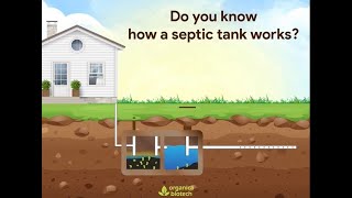 How A Septic Tank Works Septic Tank Treatment  Organica Biotech [upl. by Rexana]