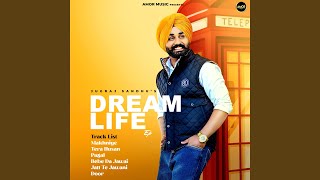 JATT TE JAWANI [upl. by Lled]