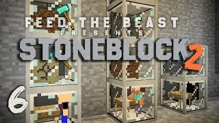 StoneBlock 2 Modpack Ep 6 Automatic Sieve Setup  Item Sorting [upl. by Oek124]