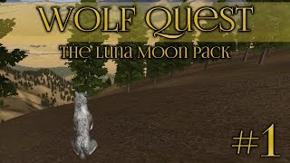 Wolf Quest 🐺 Learning To Hunt  Episode 1 [upl. by Carver980]