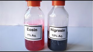 Eosin Nigrosin Stain preparation [upl. by Aitnohs38]