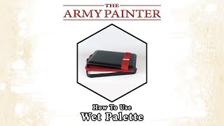 How To Use The Wet Palette [upl. by Aevin]