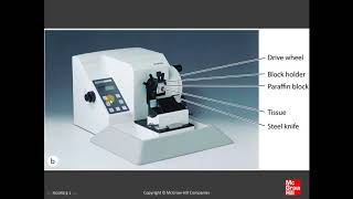 1 Histology amp its Methods of Study [upl. by Nivla568]