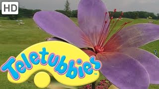 Teletubbies Colours Purple  Full Episode [upl. by Gradey]