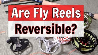 Are Fly Fishing Reels Reversible Learn How [upl. by Jarita756]