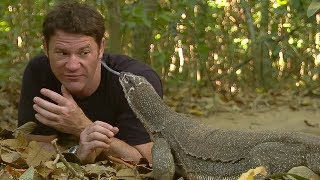 Monitor Lizard LICKS Steves Eye  Deadly 60  BBC Earth [upl. by Nnairb]