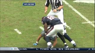 Andre Johnson vs Cortland Finnegan Fight [upl. by Trometer]