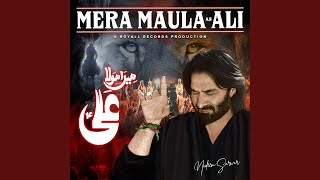 Mera Maula Ali [upl. by Bettencourt656]